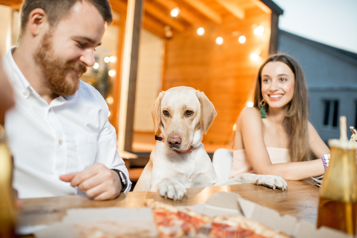 dog-friendly-restaurants